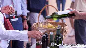 Calici di stelle a Lonigo - VicenzaToday