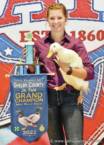 Champion ducks and more - sidneydailynews.com