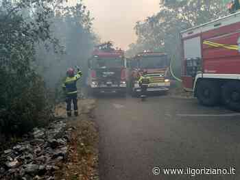 Incendio sul Carso, pronta rete accoglienza sfollati a Monfalcone - Il Goriziano