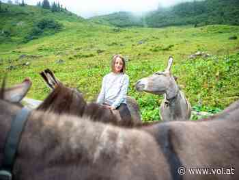 Sogar diese Tiere findet man auf einigen Alpen - VOL.AT