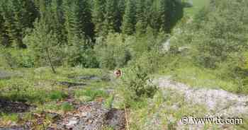 16-Jähriger stürzte bei Wanderung in Kitzbüheler Alpen 90 Meter ab - Tiroler Tageszeitung Online