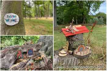 Fairy trail of more than 50 mini homes and doors set to enchant visitors to Sunderland park - Sunderland Echo