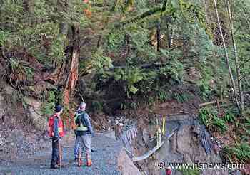 West Vancouver reroutes Capilano Pacific Trail - North Shore News