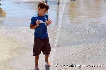 Grandma brings kids to Langley to escape Okanagan heat - Aldergrove Star