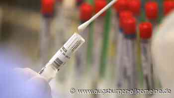 Corona-Antikörper gegen alle Varianten: Forscher erlangen neue Erkentnisse - Augsburger Allgemeine