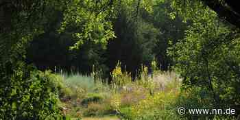Hitze und Trockenheit: So wird im Botanischen Garten in Erlangen Wasser gespart - NN.de