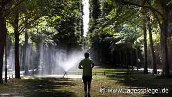 Appell an Regierungen und Wirtschaft: UN erkennen Recht auf saubere Umwelt als Menschenrecht an - Tagesspiegel