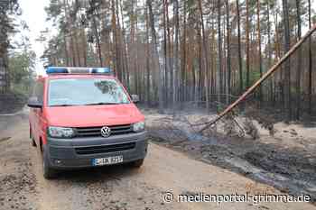 Feuerwehren aus dem Landkreis zurück vom Waldbrand in Elbe-Elster - Medienportal-Grimma