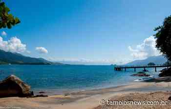 A Charmosa Praia do Portinho em Ilhabela - Tamoios News