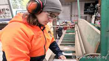 How the next generation of women can break down the tradie gender wall