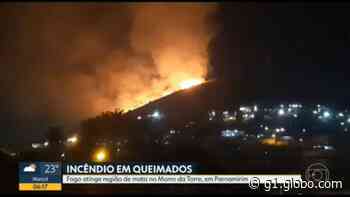 Incêndio atinge região de mata no Morro da Torre, em Queimados, Baixada Fluminense - Globo