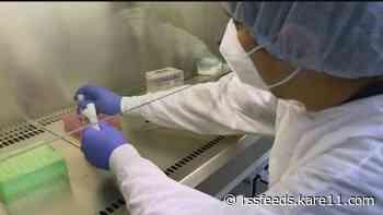 33 monkeypox cases in Minnesota, but MDH official believes number is higher