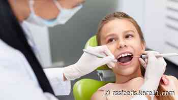 Minnesota Mission of Mercy offers free dental care in St. Cloud