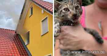 Sintmann: Feuer zerstört Kinderzimmer - Vater löscht mit Gartenschlauch, Katze in Gefahr