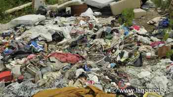 Scarica rifiuti in mezzo a un prato. Tradito dai quaderni di scuola - LA NAZIONE