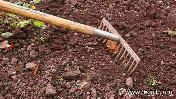 Giardino? Prato? No risolvi in questo modo - Leggilo.org