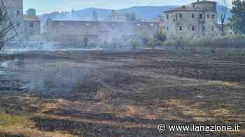 Vasto incendio al parco delle Cascine di Tavola: in azione anche un elicottero - LA NAZIONE