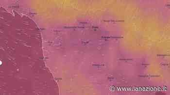 Fumo e odore di bruciato da Firenze a Prato: "È l'incendio a Massarosa" - LA NAZIONE