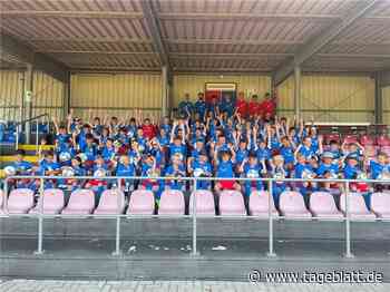 65 Kinder lernen das Kicken bei der D/A-Fußballschule - Drochtersen/Assel - Tageblatt-online