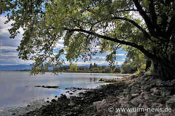 Regional trockenster Juli seit Jahrzehnten - Im Südwesten kaum Regen
