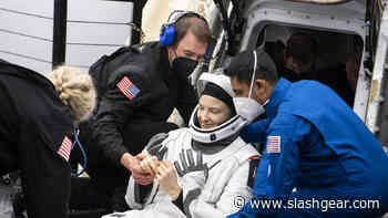 Scientists Discover Space Travel Accelerates Aging - SlashGear
