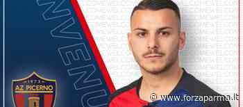 Golfo saluta Parma e va all'Az Picerno - Forza Parma