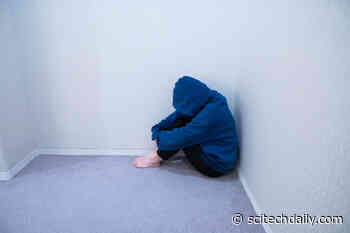 Scientists Uncover the Biological Causes of Social Withdrawal