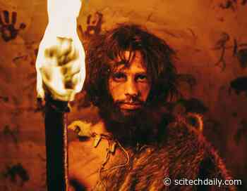 A Surprising Finding Indicates That 800,000-Year-Old Hominins Utilized Fire