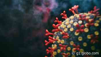 Pirassununga confirma mais 3 mortes por Covid-19 e soma 303; Divinolândia tem o 57º óbito - Globo.com