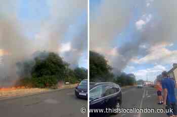 Longleigh Lane Bexleyheath: Two hectares of grass on fire