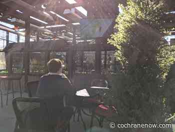 Alberta earns highest grade on liquor policy report card - CochraneNow.com