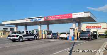 Why is Costco gas so cheap? - CochraneNow.com