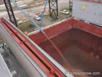 Canada's ag industry develops plan to keep grain moving - CochraneNow.com
