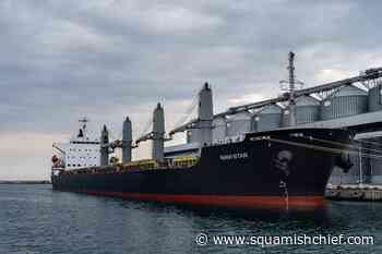 Ukrainian president observes 1st grain exports leaving - Squamish Chief