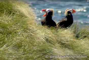 Canada sued in federal court over B.C. oil and gas 'sleeper' permits - Squamish Chief