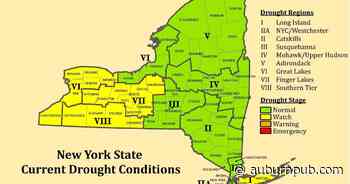 Cayuga one of 21 NY counties under drought watch - The Citizen