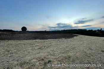 Layhams Road West Wickham fire: Five hectares of hay damaged