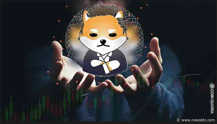 Dogelon Jumps 6.15% Over The Last 24 Hours – Can ELON Rally Further?