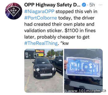 Port Colborne Motorist Fined for Fake Plate and Sticker - 101.1 More FM