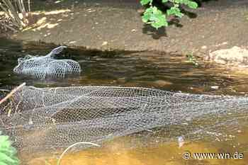 Wilderei: Unbekannte angeln illegal an „Fischtreppe“