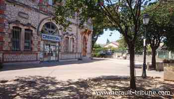 Frontignan : au programme du CinéMistral pour ce mois d'août - Hérault Tribune