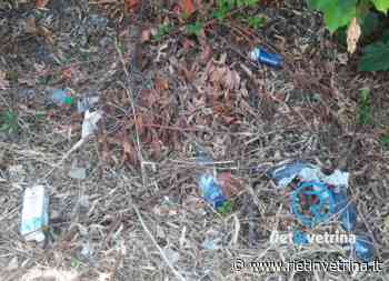 SEI TU IL REPORTER - "Alla fermata bus di via Greco a Rieti c'è un immondezzaio" - Rietinvetrina