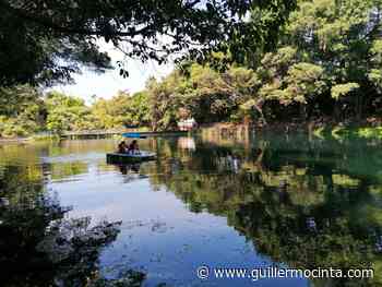 Preparan proyecto para fortalecer el parque Chapultepec de Cuernavaca - Noticias de Morelos - La Crónica de Morelos