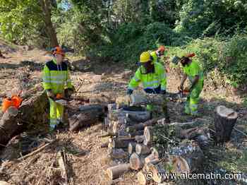 Mais qui sont ces hommes en jaune, qui veillent sur vos routes?