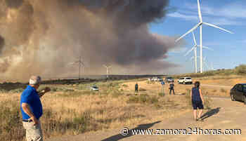 El calvario de Zamora con los pirómanos: oleada de incendios provocados en los últimos días - Zamora24horas.com