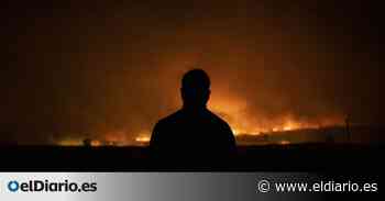 El asombro de los brigadistas en Zamora: “Un incendio como este no se había visto nunca” - elDiario.es