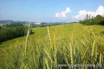 TeRa SoRa, la mappatura partecipativa per valorizzare un territorio - Italia che Cambia