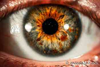 Eyes Offer Biomarkers for ADHD and ASD Disorders, Study Reveals