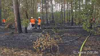 Lüchow-Dannenberg: Feuer breitet sich von Feld auf Wald aus - NDR.de