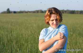 Summer Bug Bite? Expert Gives Answers on Care